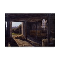 Zaštitni znak likovna umjetnost 'na Silent Wings barn sova' platno umjetnost Wilhelm Goebel