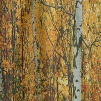 Designart 'žuta šarena jesenska šuma' panel za zavjese