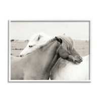 Divlji seoski konji opuštaju se u zagrljaju životinja jednobojna fotografija, 11, dizajn danite delimont