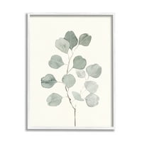 _ Spljoštena botanička stabljika kadulje, biljka s nježnim lišćem, tradicionalno slikarstvo, umjetnički tisak u