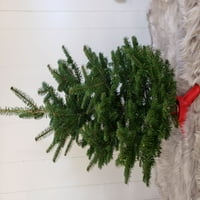 Iskusni vrtlar-svježe rezano stolno božićno drvce od 3 metra sa postoljem