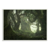 Stupell Home Décor obrastao fantazijskim šumskim krajolikom fotografije zidna ploča ENRICO FOSSATI, 10 0,5