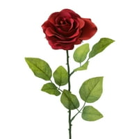 Teters Cvjetna ljetna kolekcija 26 Crvena mala stabljika jednostruke ruže, grof